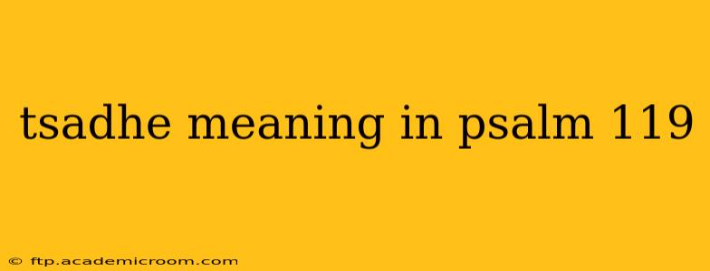 tsadhe meaning in psalm 119