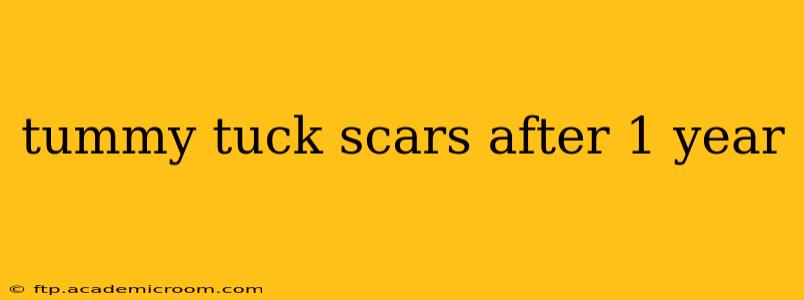 tummy tuck scars after 1 year