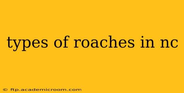 types of roaches in nc
