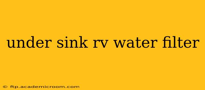 under sink rv water filter