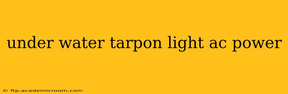 under water tarpon light ac power