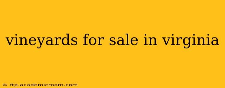 vineyards for sale in virginia