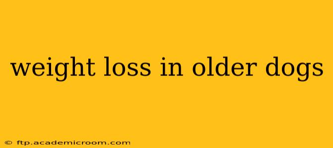 weight loss in older dogs