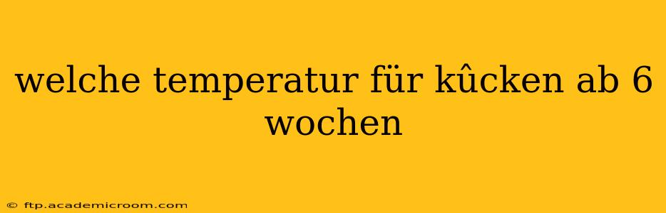welche temperatur für kûcken ab 6 wochen