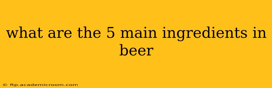 what are the 5 main ingredients in beer