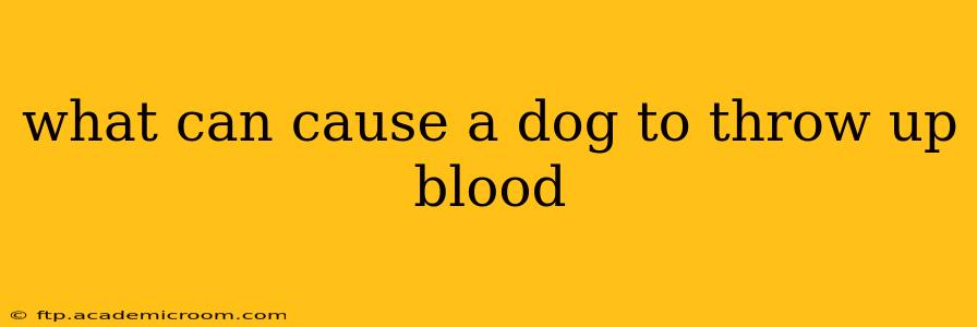 what can cause a dog to throw up blood