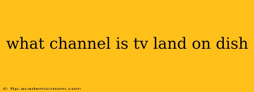 what channel is tv land on dish