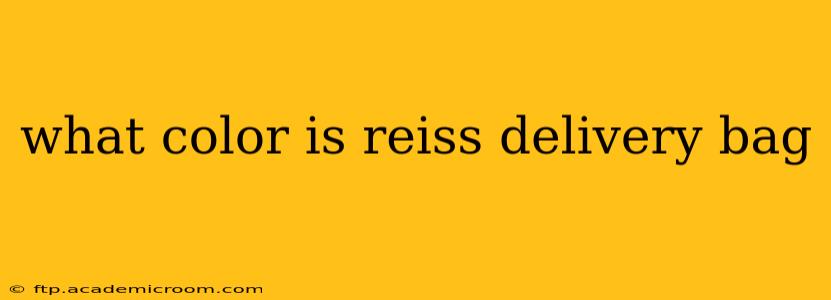 what color is reiss delivery bag