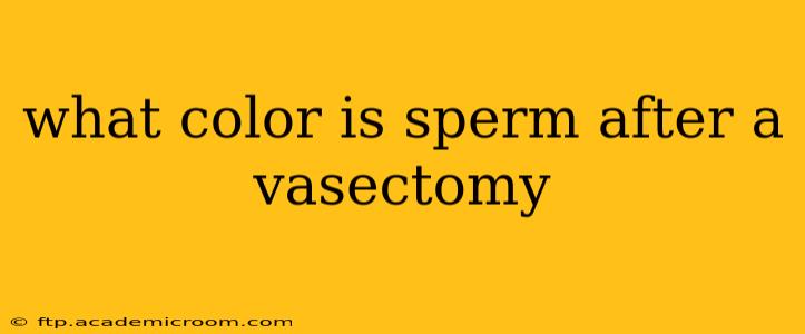 what color is sperm after a vasectomy