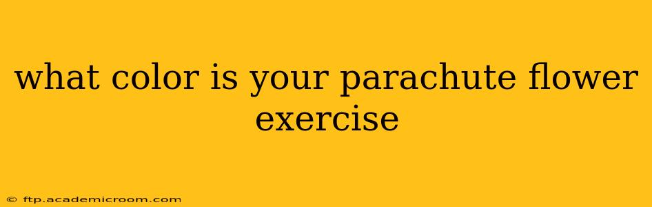 what color is your parachute flower exercise