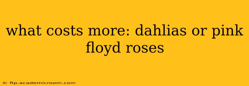 what costs more: dahlias or pink floyd roses