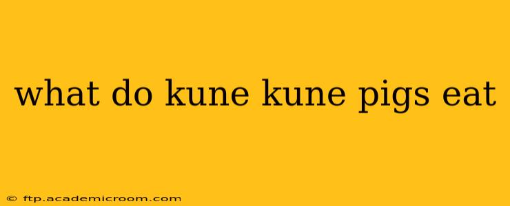 what do kune kune pigs eat