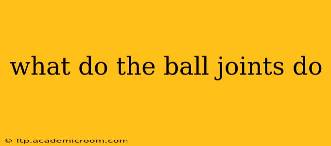 what do the ball joints do
