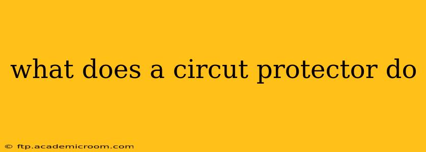 what does a circut protector do