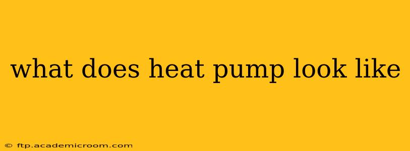 what does heat pump look like