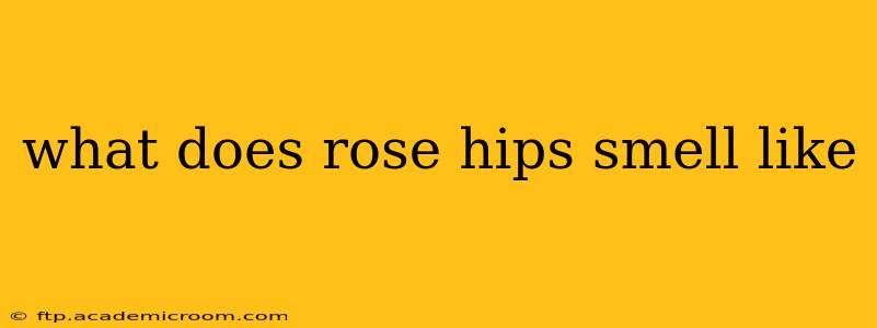 what does rose hips smell like
