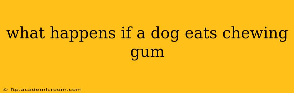 what happens if a dog eats chewing gum