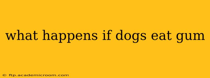 what happens if dogs eat gum