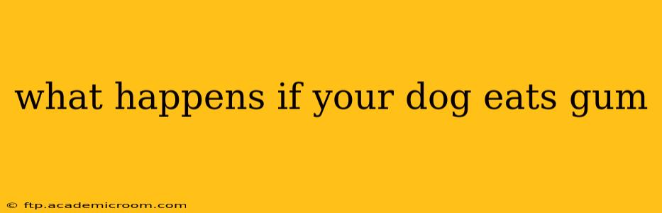what happens if your dog eats gum