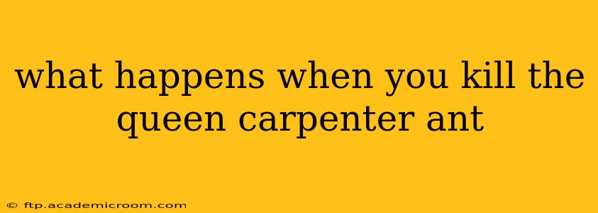 what happens when you kill the queen carpenter ant