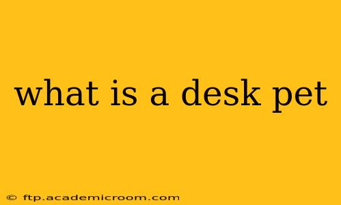 what is a desk pet