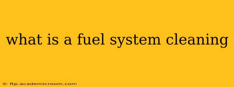 what is a fuel system cleaning
