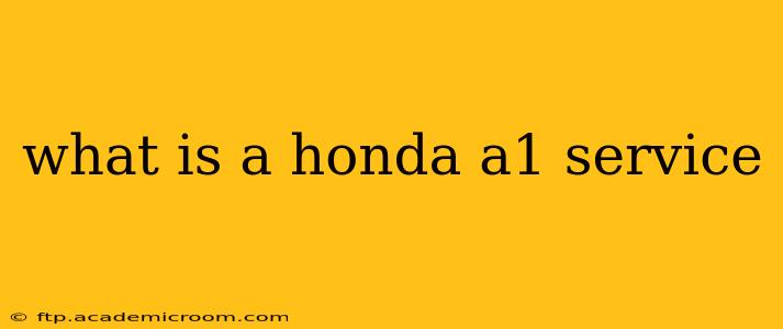what is a honda a1 service