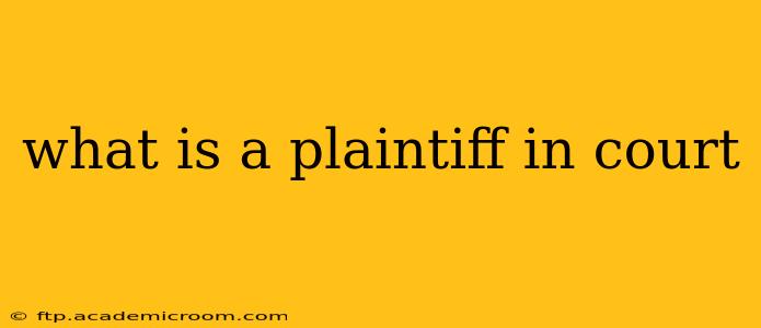 what is a plaintiff in court