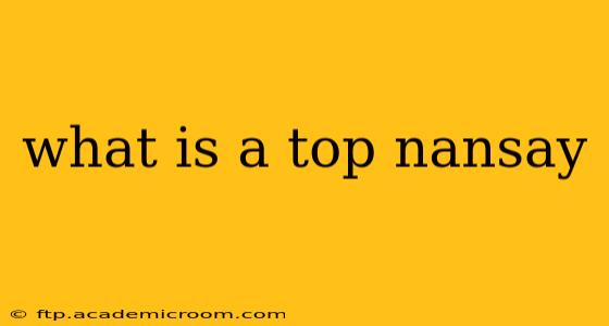 what is a top nansay