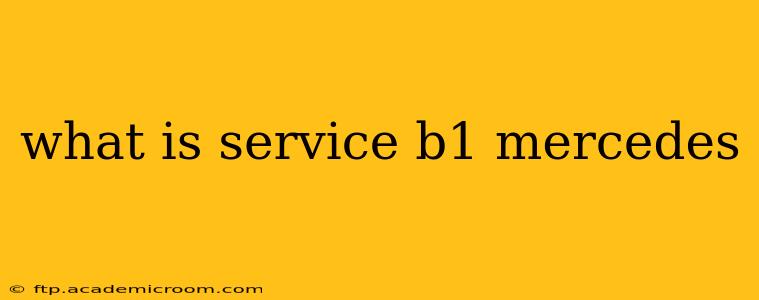 what is service b1 mercedes