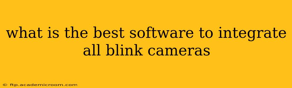 what is the best software to integrate all blink cameras