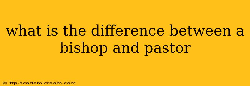 what is the difference between a bishop and pastor