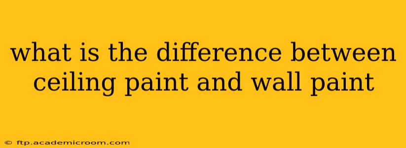 what is the difference between ceiling paint and wall paint