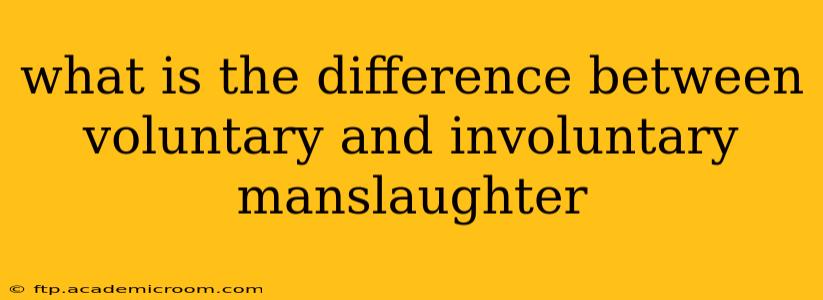 what is the difference between voluntary and involuntary manslaughter