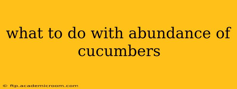 what to do with abundance of cucumbers