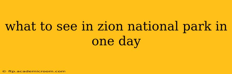 what to see in zion national park in one day