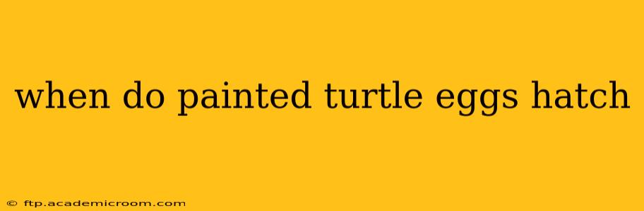 when do painted turtle eggs hatch