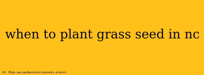 when to plant grass seed in nc