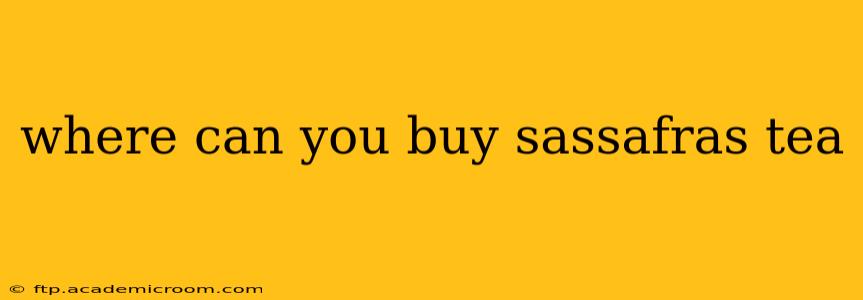 where can you buy sassafras tea