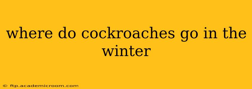 where do cockroaches go in the winter