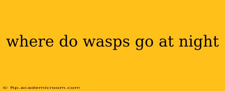 where do wasps go at night