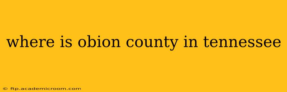 where is obion county in tennessee
