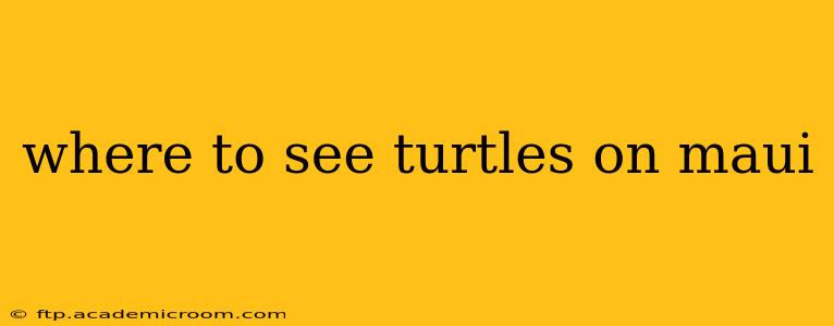 where to see turtles on maui