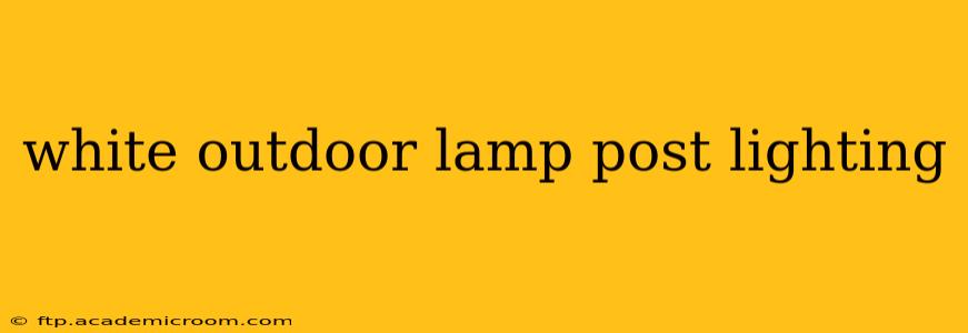 white outdoor lamp post lighting
