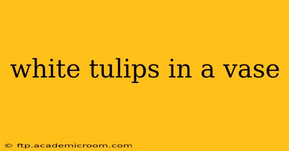 white tulips in a vase