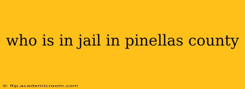 who is in jail in pinellas county