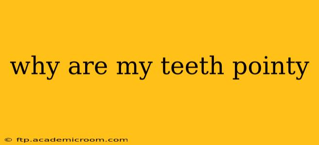 why are my teeth pointy