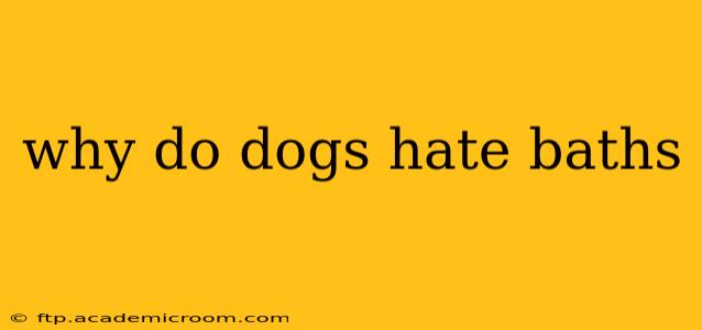 why do dogs hate baths
