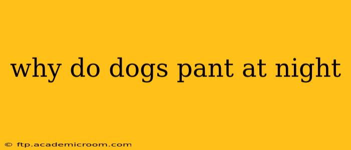 why do dogs pant at night