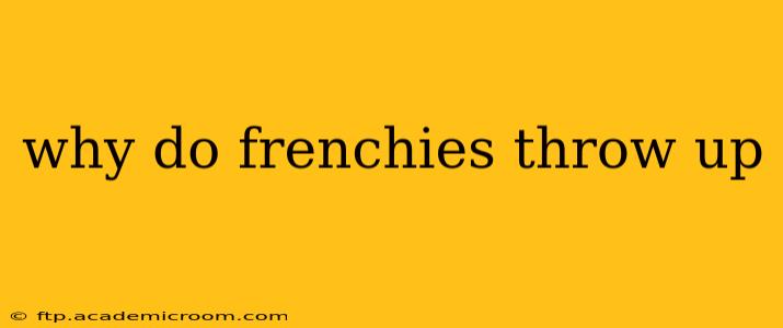 why do frenchies throw up